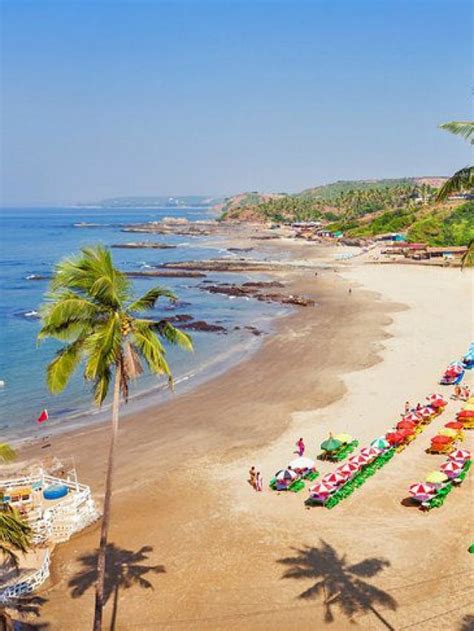 goa queen chart|Goa.
